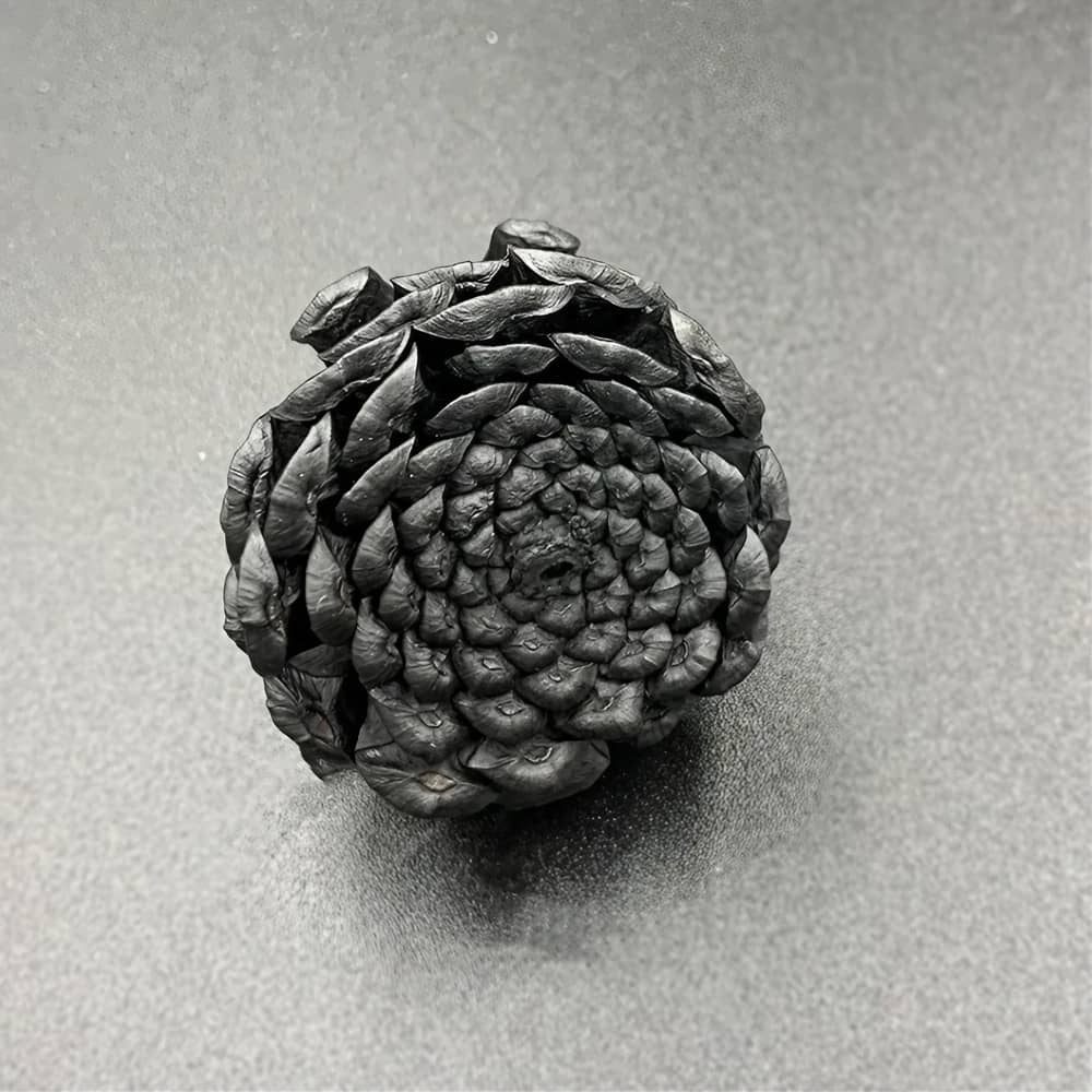 BLACK LETTERS ブラックレターズ HANASUMI 花炭