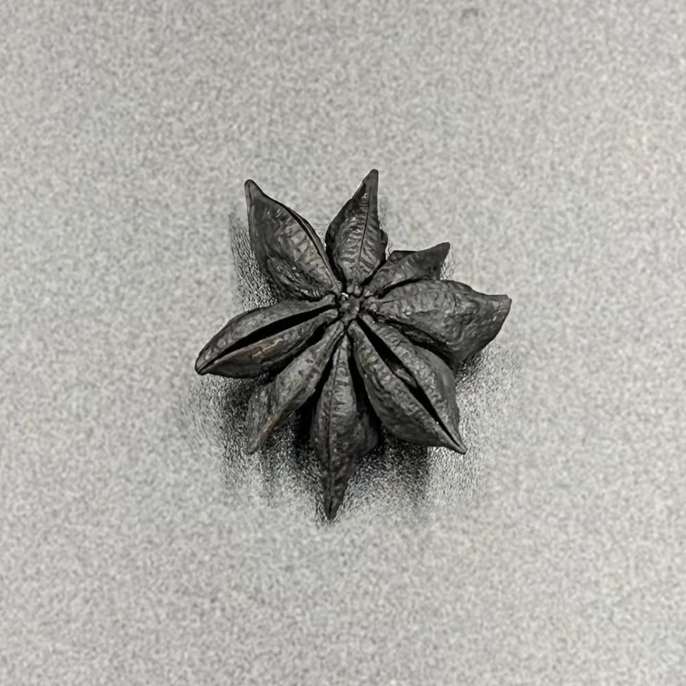 BLACK LETTERS ブラックレターズ HANASUMI 花炭