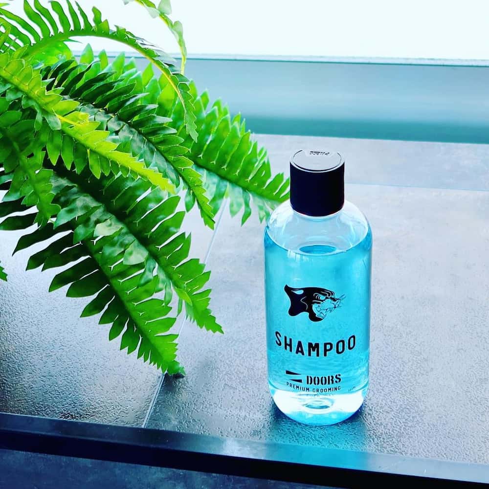 DOORS ドアーズ スペリオールシャンプー 300mL