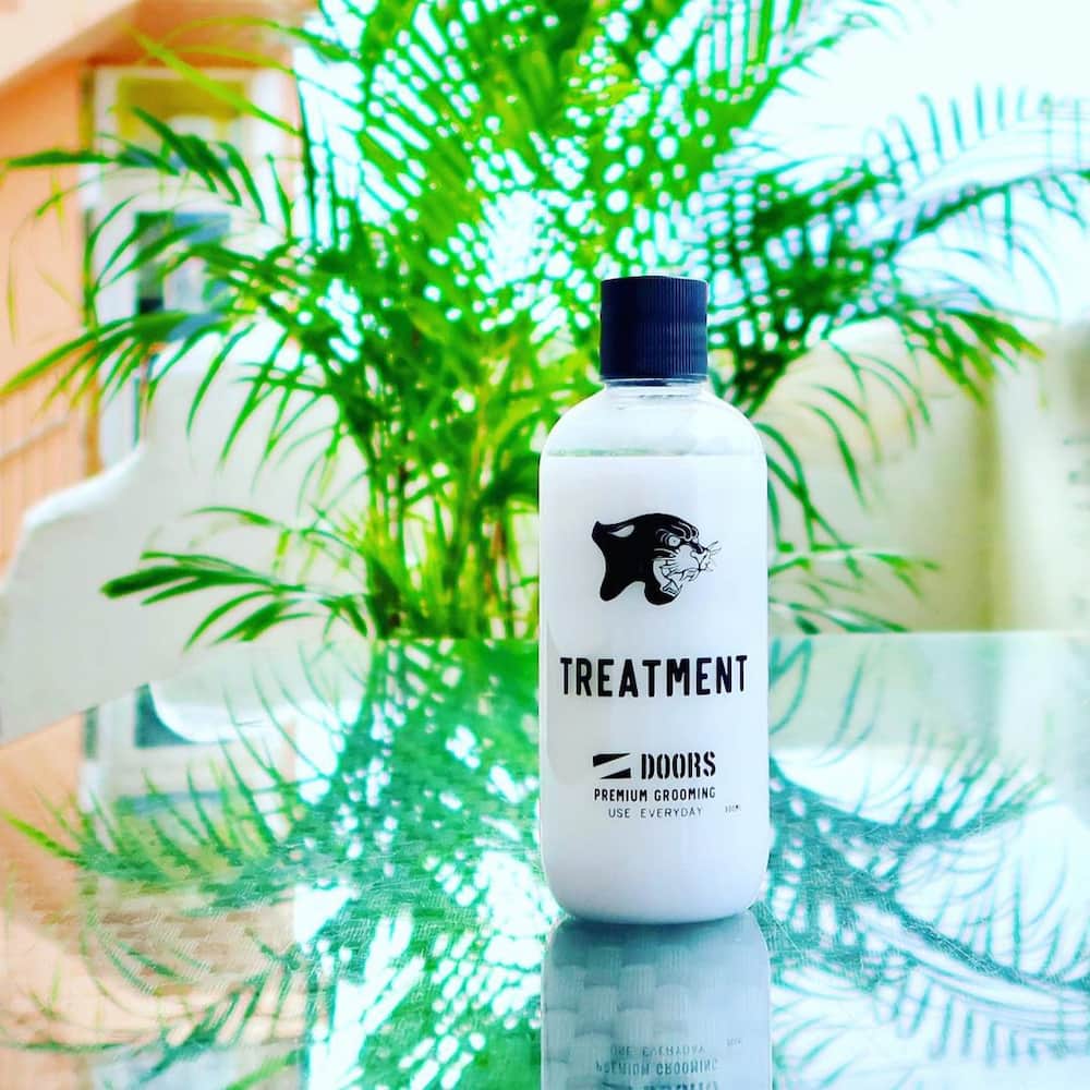 DOORS ドアーズ ボタニカルトリートメント 300mL