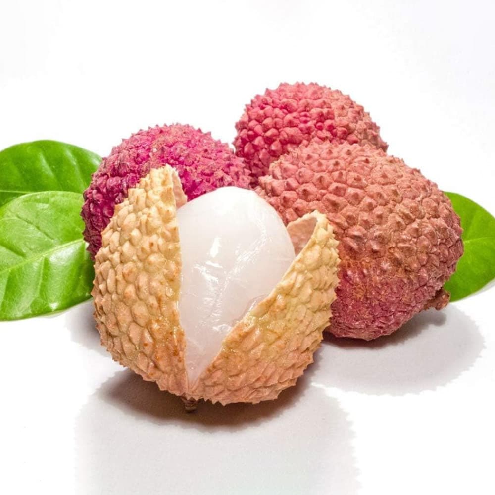 SHOLAYERED ショーレイヤード ボディスプレー シュガーライチ 100mL