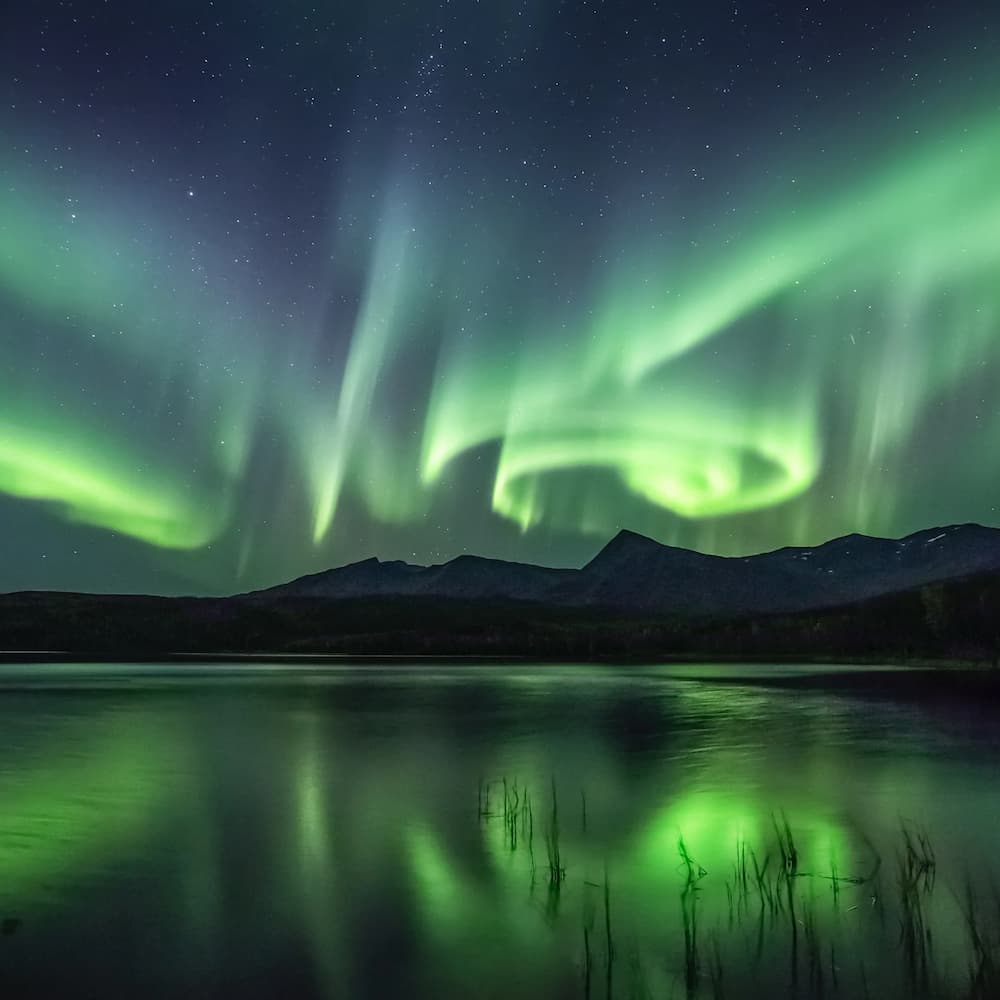 オルファクティヴ・ストゥディオ OLFACTIVE STUDIO ダンシングライト オードパルファン 50mL